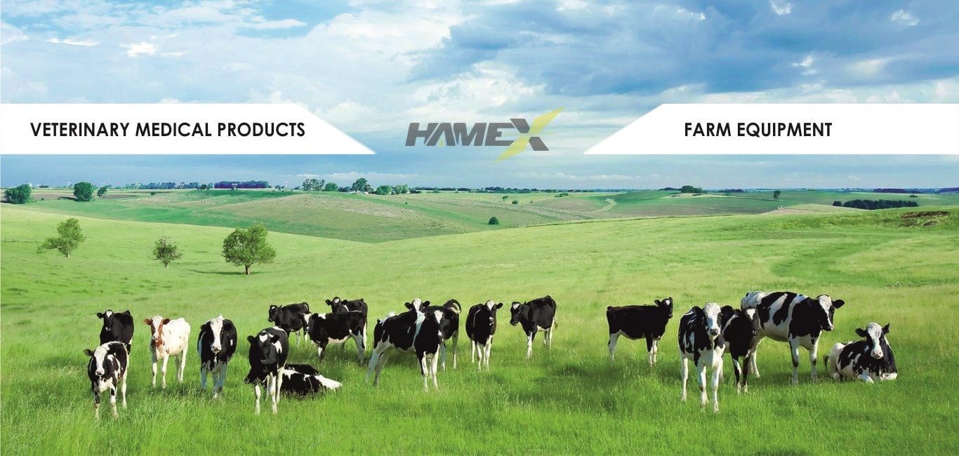 Hamex Medikal Slider1